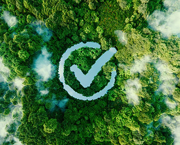 Water circle with a checkmark in the middle of a forest